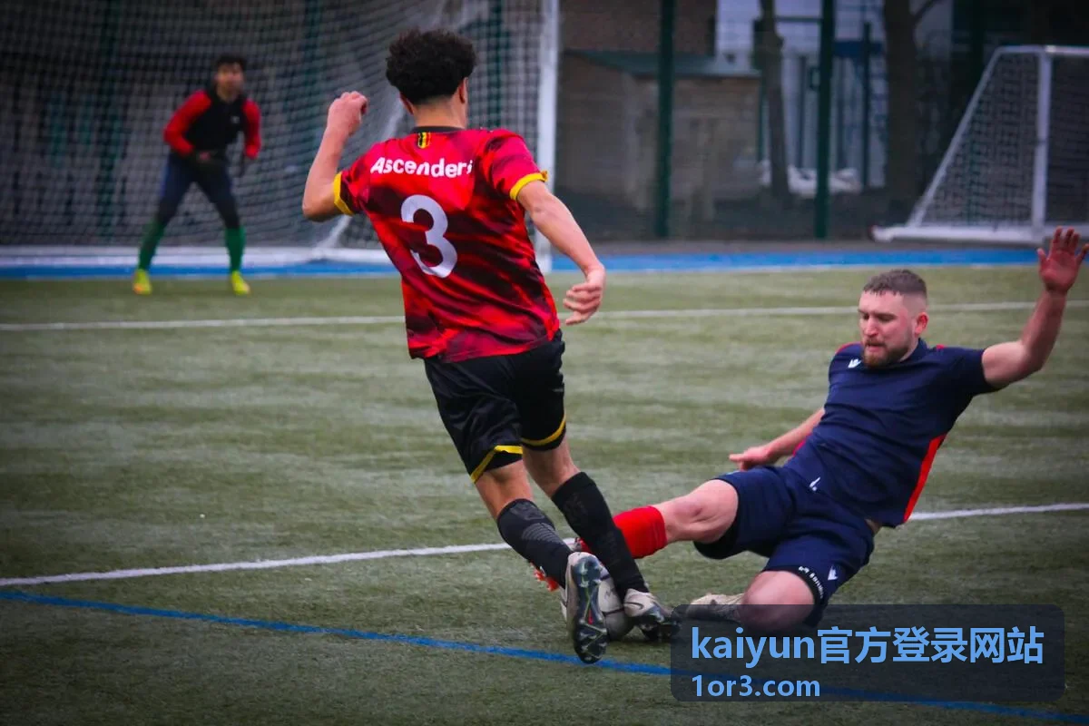 kaiyun官方登录网站客户端界面与功能示意