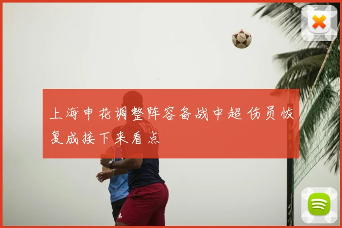 上海申花调整阵容备战中超 伤员恢复成接下来看点