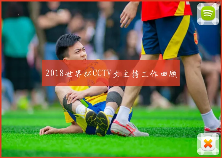 2018世界杯CCTV女主持工作回顾